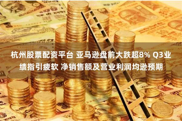 杭州股票配资平台 亚马逊盘前大跌超8% Q3业绩指引疲软 净销售额及营业利润均逊预期