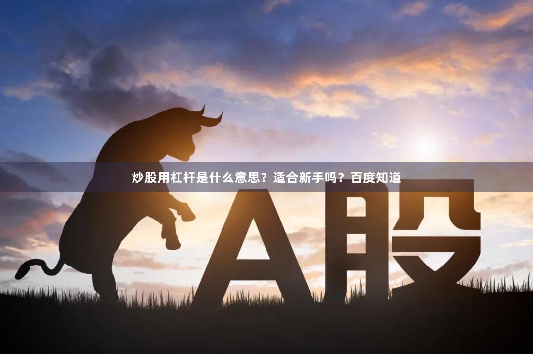 炒股用杠杆是什么意思?适合新手吗?百度知道