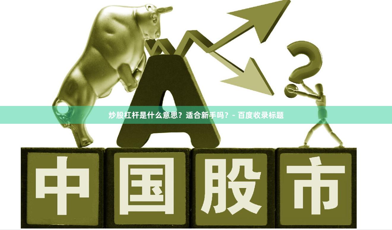 炒股杠杆是什么意思？适合新手吗？- 百度收录标题