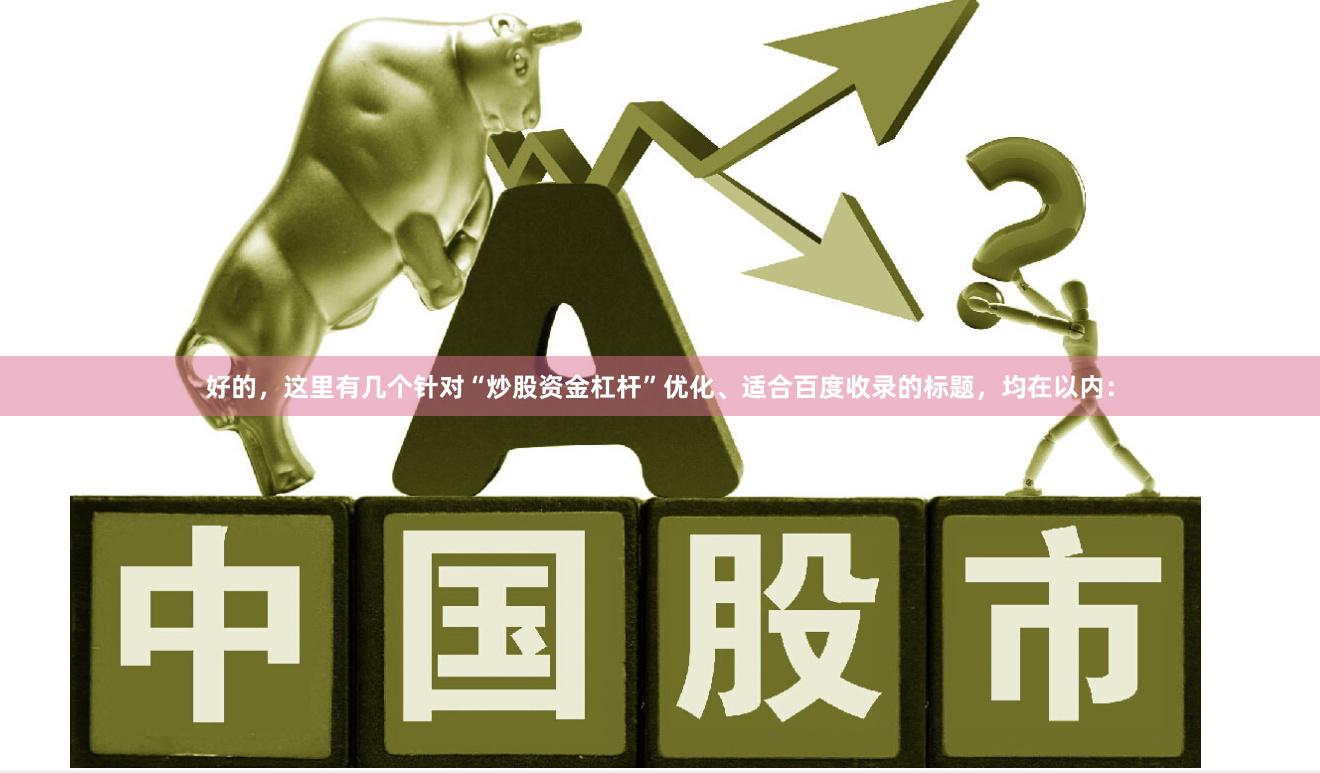 好的，这里有几个针对“炒股资金杠杆”优化、适合百度收录的标题，均在以内：